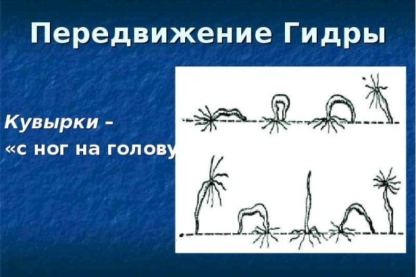 Блэк спрут пв