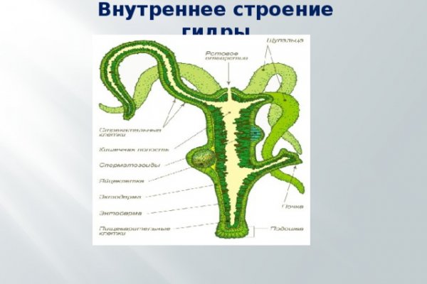 Блэк спрут 500 ошибка