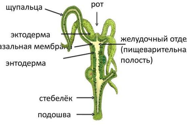 Блэк спрут что за сайт bs2web top